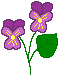 flower clipart