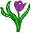 flower clipart